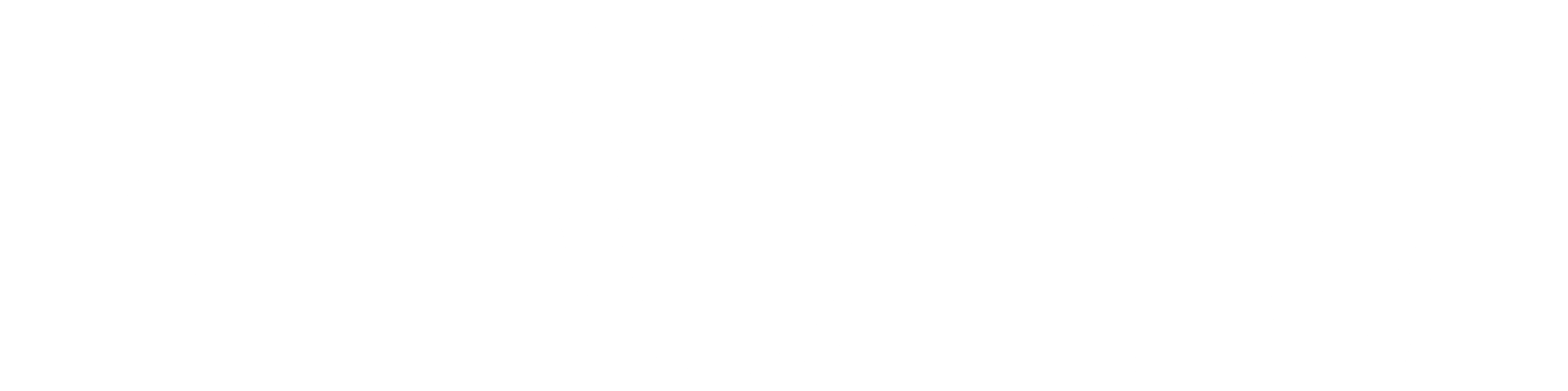 FORM